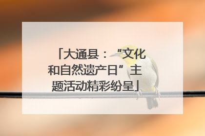 大通县：“文化和自然遗产日”主题活动精彩纷呈