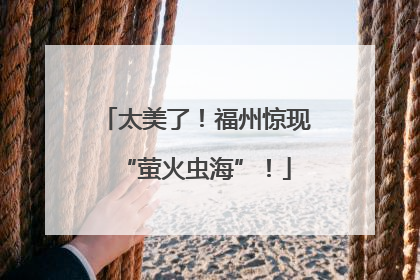 太美了！福州惊现“萤火虫海”！