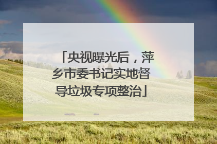 央视曝光后，萍乡市委书记实地督导垃圾专项整治