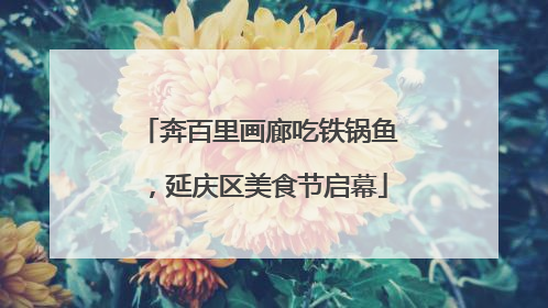 奔百里画廊吃铁锅鱼，延庆区美食节启幕