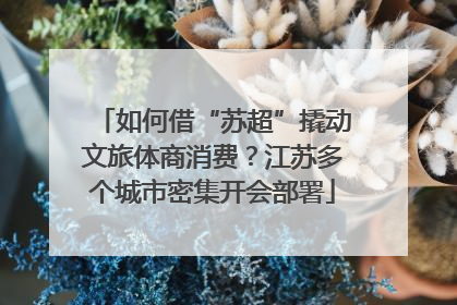 如何借“苏超”撬动文旅体商消费？江苏多个城市密集开会部署