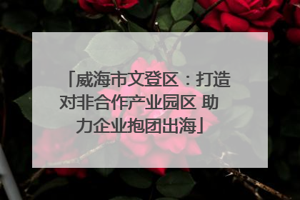 威海市文登区：打造对非合作产业园区 助力企业抱团出海