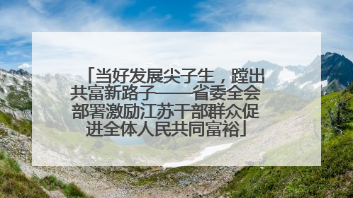 当好发展尖子生，蹚出共富新路子——省委全会部署激励江苏干部群众促进全体人民共同富裕