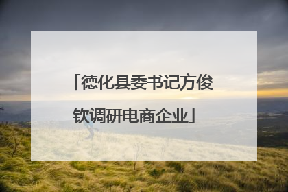 德化县委书记方俊钦调研电商企业