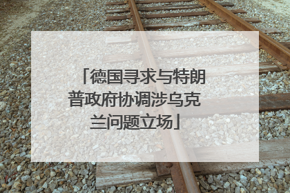 德国寻求与特朗普政府协调涉乌克兰问题立场