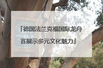 德国法兰克福国际龙舟赛展示多元文化魅力