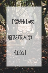 德州市政府发布人事任免