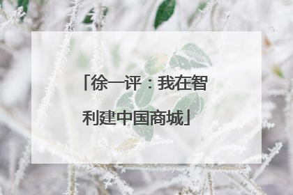 徐一评：我在智利建中国商城