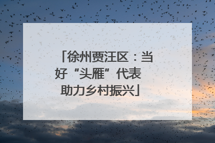 徐州贾汪区：当好“头雁”代表 助力乡村振兴