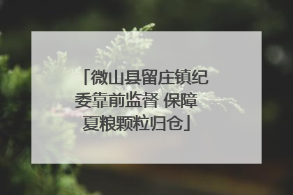 微山县留庄镇纪委靠前监督 保障夏粮颗粒归仓