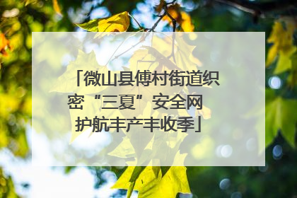 微山县傅村街道织密“三夏”安全网 护航丰产丰收季