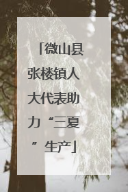 微山县张楼镇人大代表助力“三夏”生产