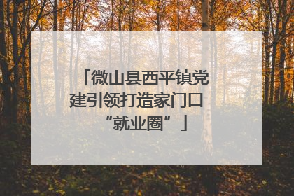 微山县西平镇党建引领打造家门口“就业圈”