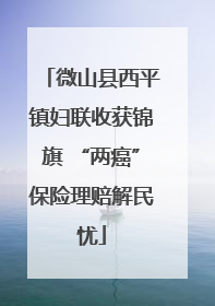 微山县西平镇妇联收获锦旗 “两癌”保险理赔解民忧