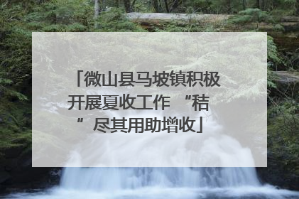 微山县马坡镇积极开展夏收工作 “秸”尽其用助增收