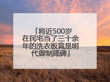 将近500岁 在民宅当了三十余年的洗衣板竟是明代御制箴碑