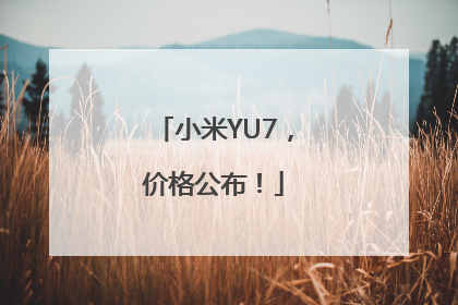小米YU7，价格公布！