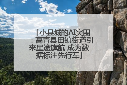 小县城的AI突围：高青县田镇街道引来星途旗航 成为数据标注先行军