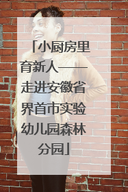 小厨房里育新人——走进安徽省界首市实验幼儿园森林分园