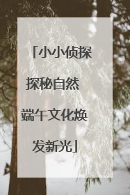 小小侦探探秘自然 端午文化焕发新光