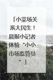 小菜场关系大民生！晨报小记者体验“小小市场监管员”