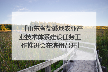 山东省盐碱地农业产业技术体系建设任务工作推进会在滨州召开