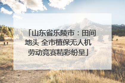 山东省乐陵市：田间地头 全市植保无人机劳动竞赛精彩纷呈