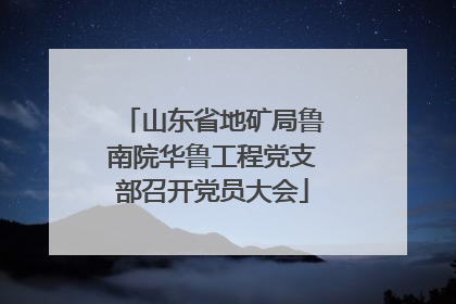 山东省地矿局鲁南院华鲁工程党支部召开党员大会