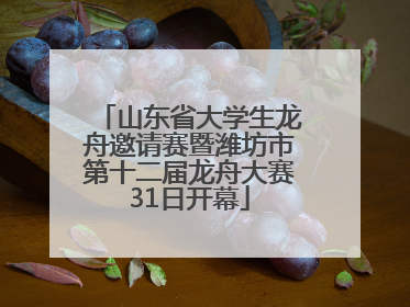 山东省大学生龙舟邀请赛暨潍坊市第十二届龙舟大赛31日开幕