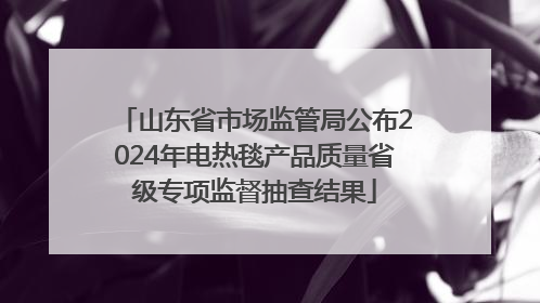 山东省市场监管局公布2024年电热毯产品质量省级专项监督抽查结果