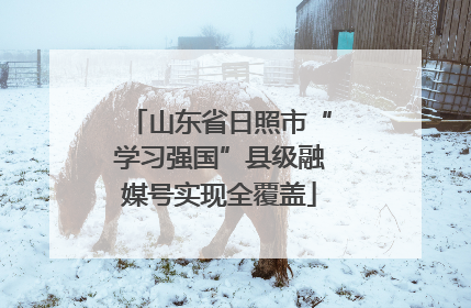 山东省日照市“学习强国”县级融媒号实现全覆盖