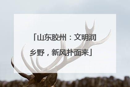 山东胶州：文明润乡野，新风扑面来