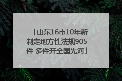 山东16市10年新制定地方性法规905件 多件开全国先河