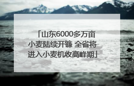 山东6000多万亩小麦陆续开镰 全省将进入小麦机收高峰期
