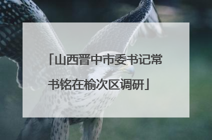 山西晋中市委书记常书铭在榆次区调研