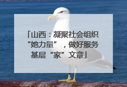 山西：凝聚社会组织“她力量”，做好服务基层“家”文章