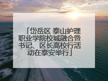 岱岳区 泰山护理职业学院校城融合暨书记、区长高校行活动在泰安举行