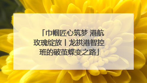 巾帼匠心筑梦 港航玫瑰绽放丨龙拱港智控班的破茧蝶变之路