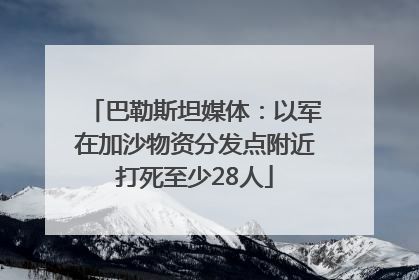 巴勒斯坦媒体：以军在加沙物资分发点附近打死至少28人