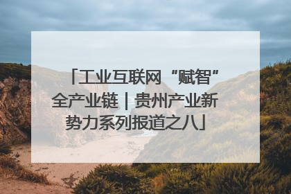 工业互联网“赋智”全产业链｜贵州产业新势力系列报道之八