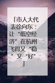 市人大代表徐向东：让“低空经济”在杭州飞得又“稳”又“好”