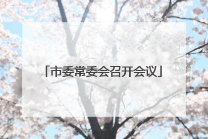 市委常委会召开会议