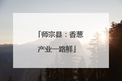 师宗县：香葱产业一路鲜