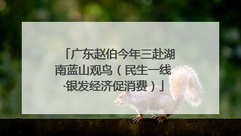 广东赵伯今年三赴湖南蓝山观鸟（民生一线·银发经济促消费）