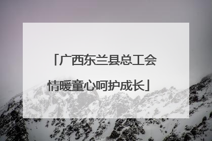 广西东兰县总工会情暖童心呵护成长