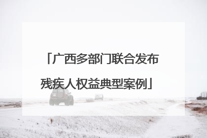 广西多部门联合发布残疾人权益典型案例