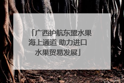 广西护航东盟水果海上通道 助力进口水果贸易发展