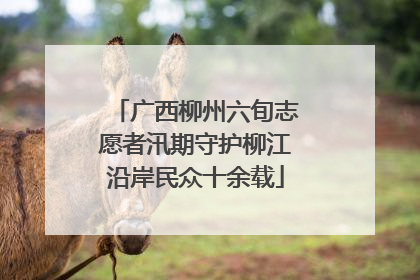 广西柳州六旬志愿者汛期守护柳江沿岸民众十余载