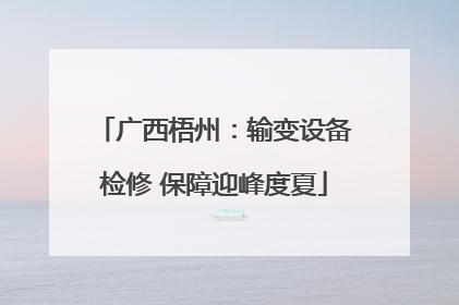 广西梧州：输变设备检修 保障迎峰度夏