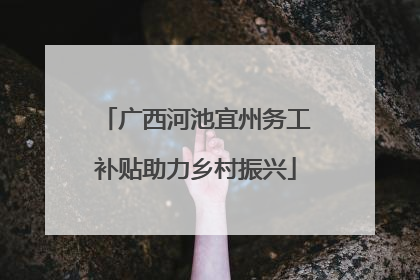 广西河池宜州务工补贴助力乡村振兴